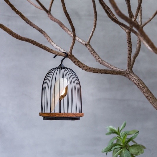 Daqi Concept - Jingoo -Design vogelkooi met bluetooth en licht