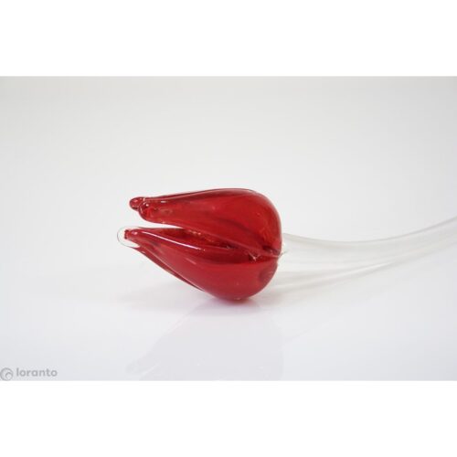 Loranto 'Glazen tulp rood'